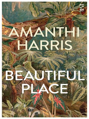 cover image of Beautiful Place